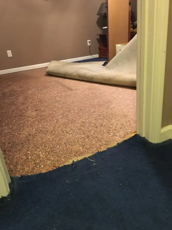 Carpet pad removal revealing water damage during Water Mitigation Services in Glastonbury