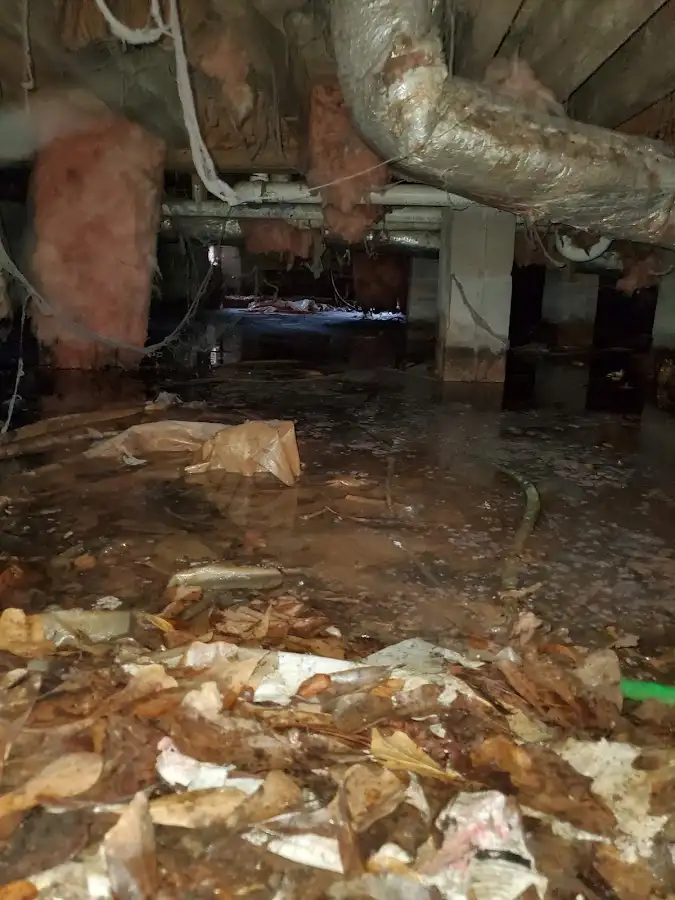 Crawl space flood assessment for Commercial Water Damage Restoration in Glastonbury